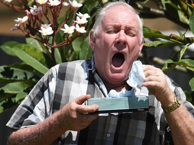 This guy is a hayfever sufferer, clearly. Picture: Katrina Bridgeford.