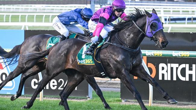 Rolling Moss could again prove hard to run down when trainer Shawn Mathrick takes the veteran to Wangaratta on Thursday. Picture: Racing Photos via Getty Images.