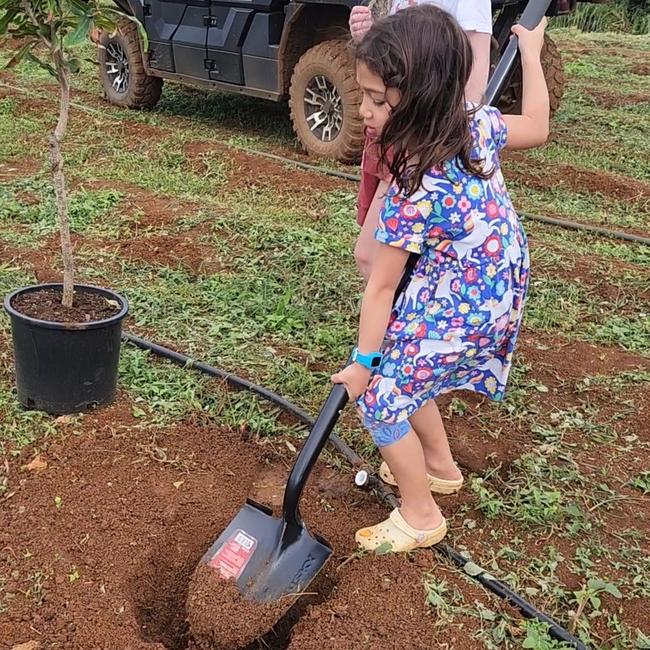 Zuckerberg's daughters have been helping to plant macadamia trees.