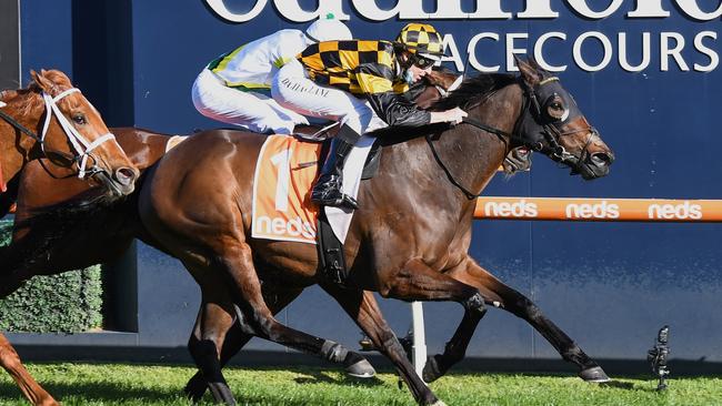 Probabeel is backing-up from her fifth placing last week when she takes on Zaaki in the Underwood Stakes. Picture: Racing Photos via Getty Images
