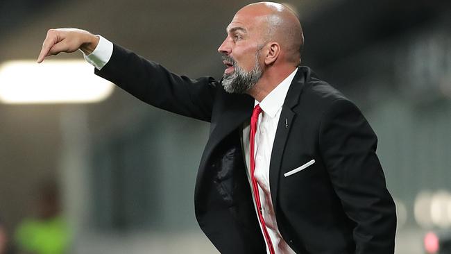 Markus Babbel is a hands-off manager in the English tradition. Picture: Getty Images.