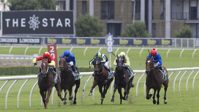 Sasso Corbaro (left) in action. Picture: AAP
