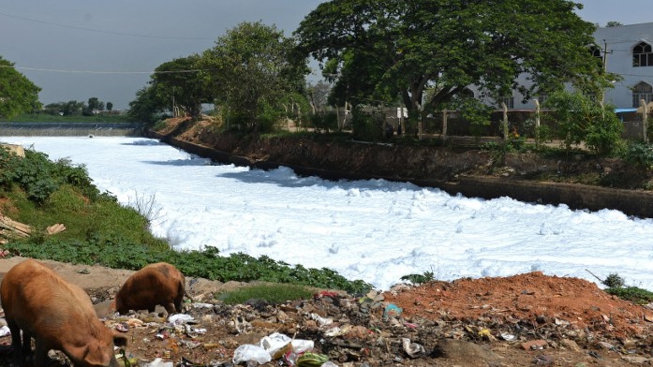 A canal which once carried water from Bellandur Lake to Varthur Lake is filled with froth emanating from sewage in east Bangalore. The water has been known to catch fire. AFP photo