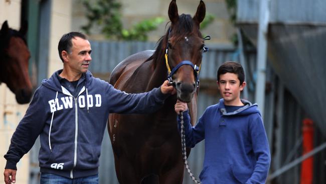 16/04/15 - Racing - Perth sprinter Magnifisio in Adelaide for a tilt at the Group 1 Goodwood starting in Saturday's Irwin Stakes. Trainer Jim Taylor staying with Richard Jolly, with Magnifisio and Richard's son, 12yo James Jolly at the Jolly stables at Morphettville. Picture Dean Martin