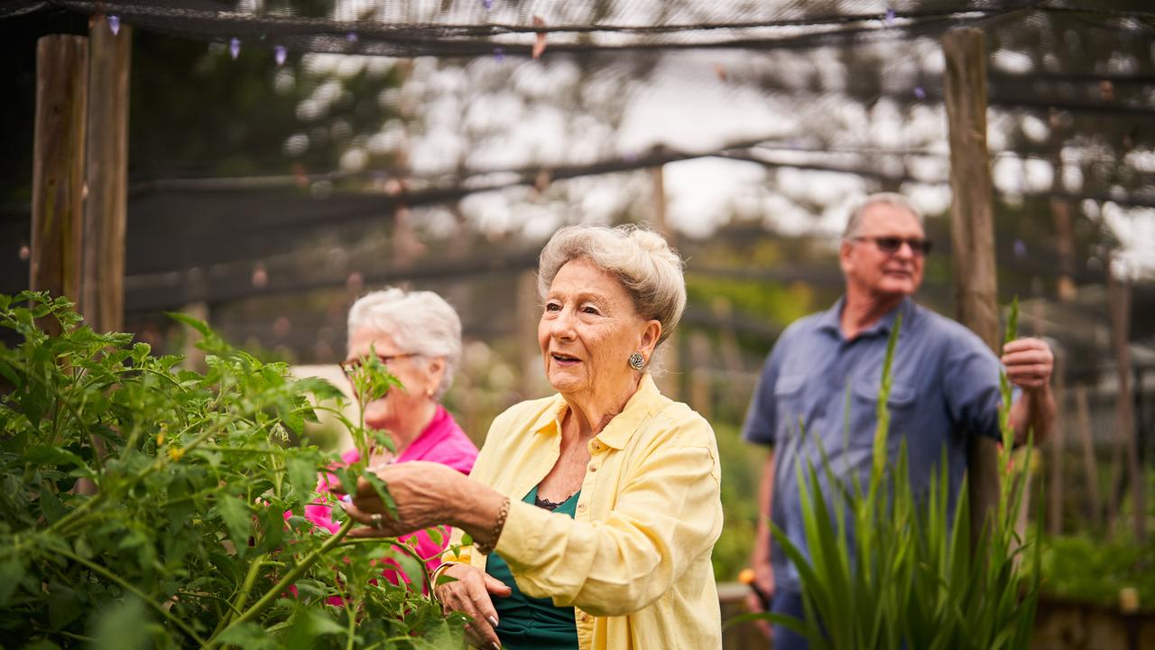 Social connections and vibrancy of village ensure an enjoyable life