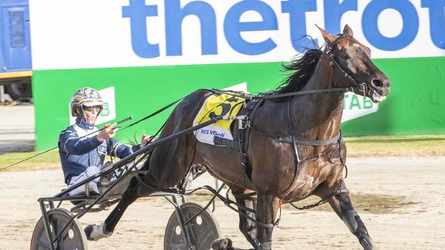 Captain Ravishing and Mark Pitt a runner in Saturday night's The Eureka race at Menangle Park.