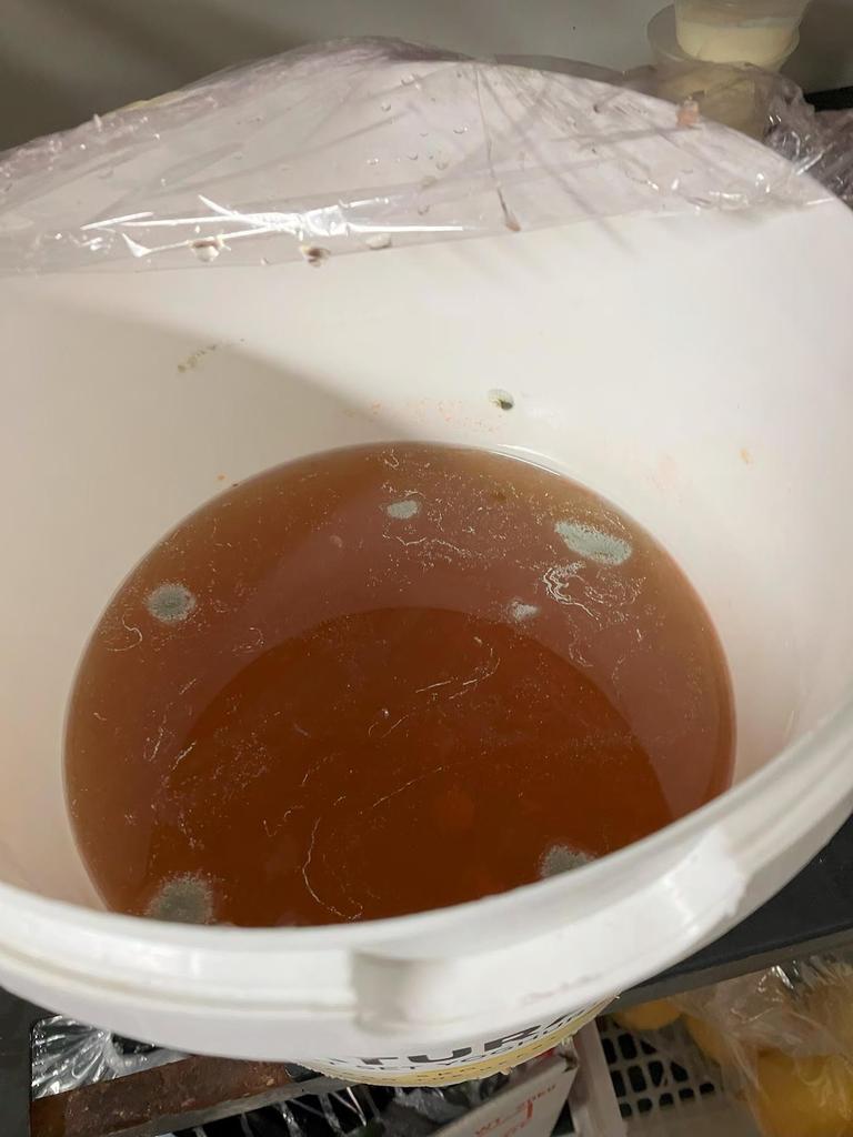 Mouldy food was found. Photos: Supplied by Courts SA