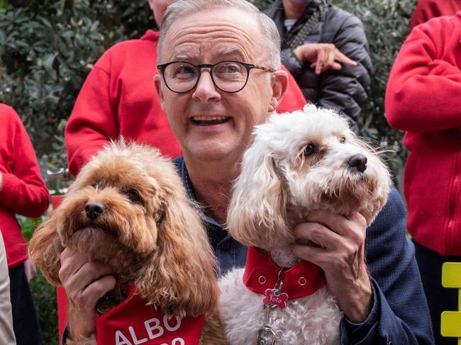 Leader of the Australian Labor Party Anthony Albanese meets with Labor candidate for Reid, Sally Sitou and supporters after winning the general election at Marrickville Library and Pavilion in Sydney on May 22, 2022. (Photo by Wendell Teodoro / AFP)