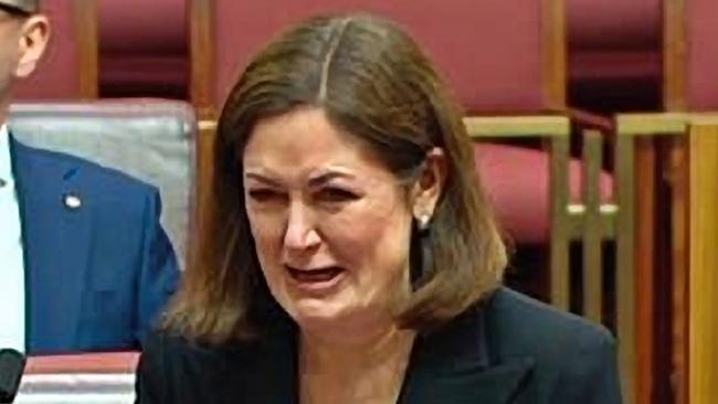 Opposition education spokeswoman Sarah Henderson breaks down while making a statement in the Senate on Friday.