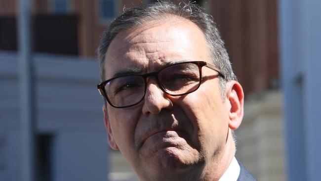 South Australian Premier Steven Marshall is making a mockery of national cabinet. Picture: NCA NewsWire / Emma Brasier