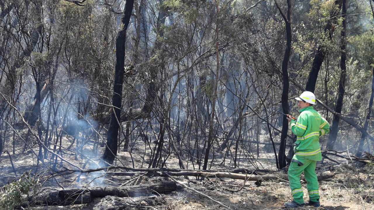 Otways, Geelong issued fire warnings amid lightning threat