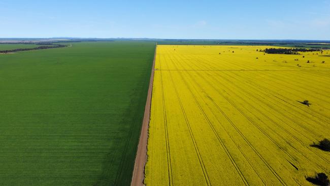 PSP Investments’ Altora Ag paid $70 million for the Timberscombe Aggregation at Back Creek, NSW.