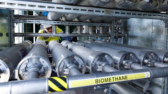 DAILY TELEGRAPH. Tour of JemenaÃs newly operational Malabar Biomethane Plant, which takes methane gas produced by waste water which is passed through a digester. Pic shows Jemena Gas Technician Trent Spurr checking the CO2 filter system which seperates CO2 from the Methane. 28/08/2023. Pic by Max Mason-Hubers