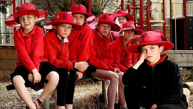 Build Our School campaign at St Kilda Primary School. Picture: Tim Carrafa