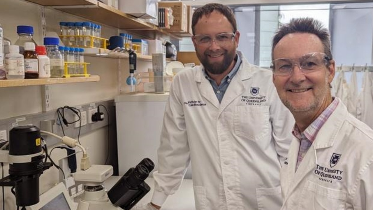 University of Queensland researchers Nathan Palpant and Glenn King are leading the world-first research. Picture: Supplied