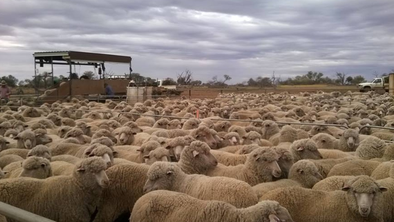 Who owns South Australia’s farms? | Daily Telegraph