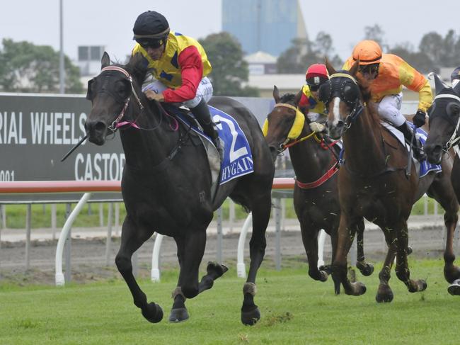 John Morrisey-trained Gorada (jockey Shannon Doyle) wins Shootout Memorial Class 2 Handicap (1800m) at Gold Coast on Saturday, January 21, 2017. Photo:Jessica Hawkins/Trackside Photography