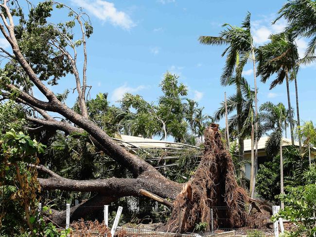 A fallen tree has narrowly missed a house in Nightcliff during Cyclone Marcus in Darwin. Picture: Keri Megelus