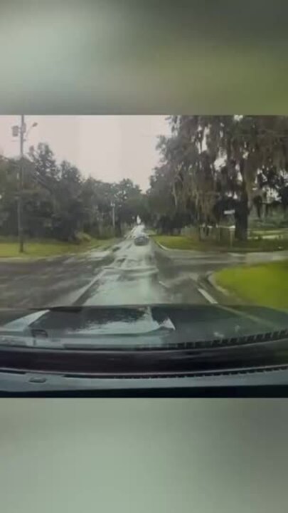 Lucky Driver 'OK' as Car Smashed by Falling Tree Branch During Storm