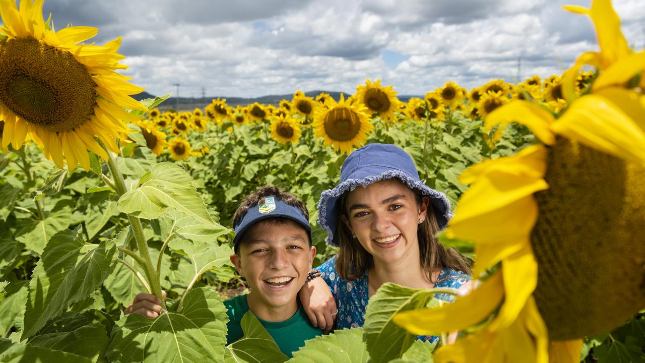 Will and Georgia Connolly as Warraba Sunflowers opens its drone-planted sunflower field to visitors. Picture: Kevin Farmer