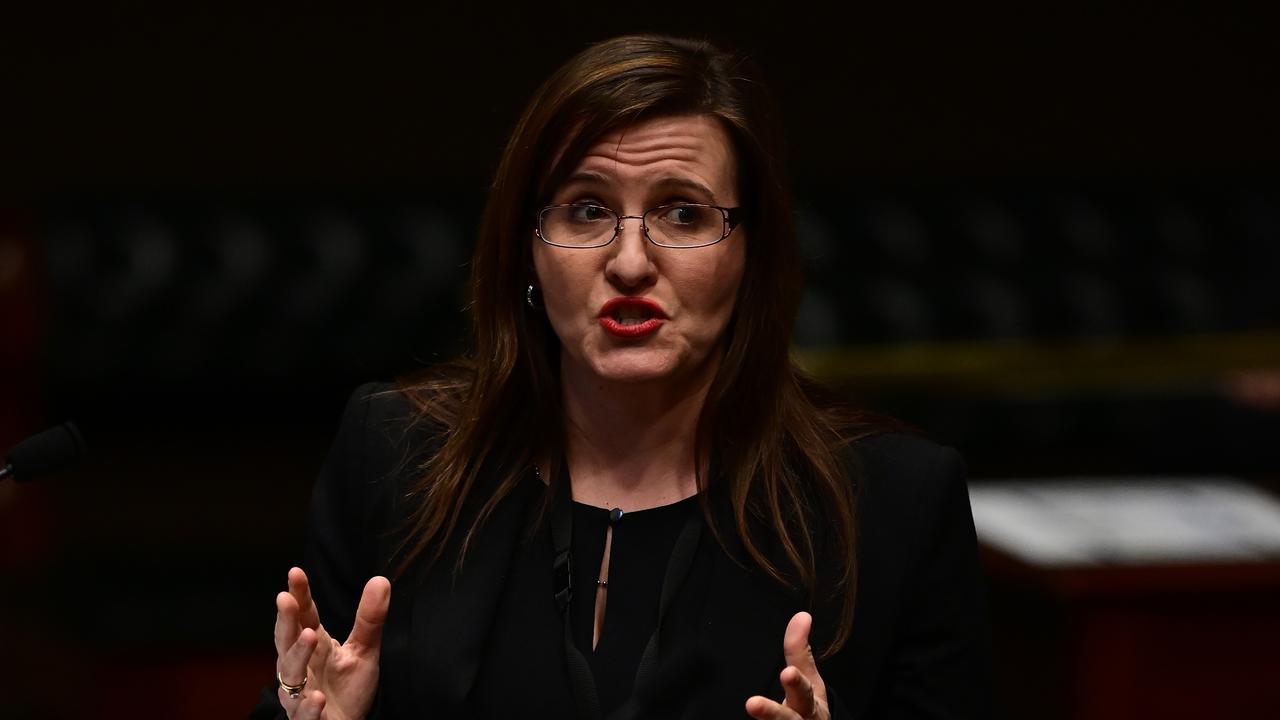 NSW Labor leader Chris Minns defends fellow MP Tania Mihailuk after ...