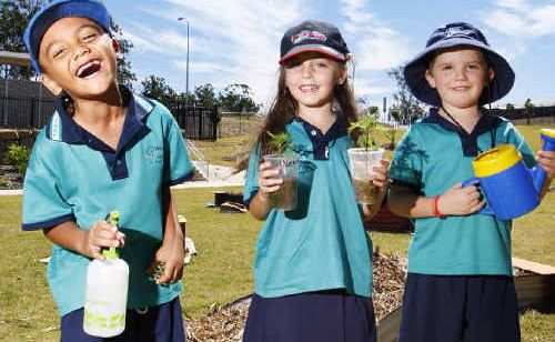 Students blossom outdoors | The Courier Mail