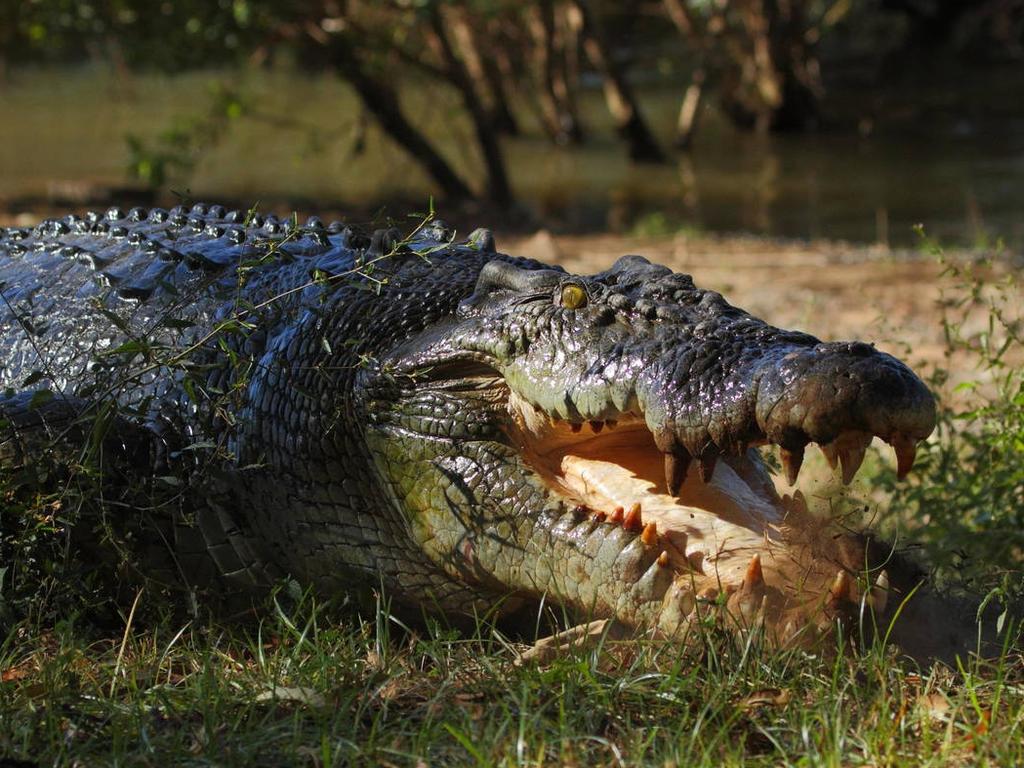 Jewel of the Kimberley