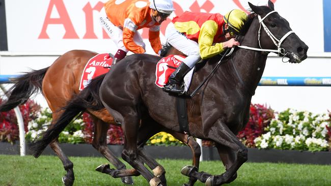 Grand Marshal will carry 53.5kg for the Melbourne Cup after avoiding a penalty for its win