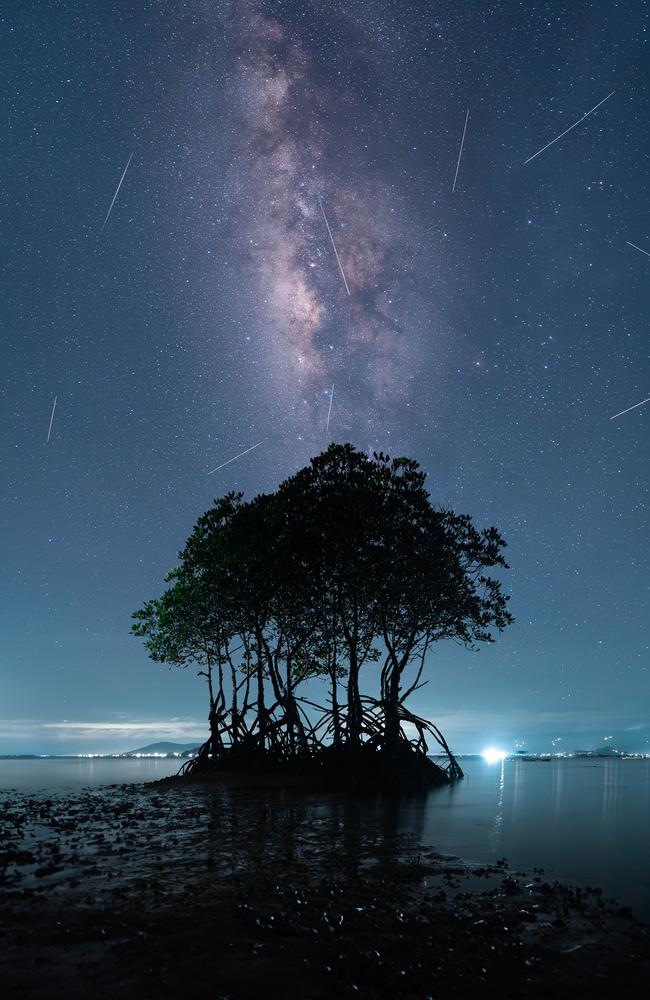 Lights from the city, Milky Way and Lyrid meteor shower emanate in alignment out of the mangroves trees in the Philippines. Picture: Aaron Ruy G. Musa