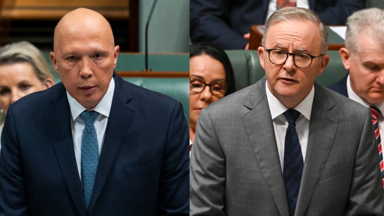 Peter Dutton and Anthony Albanese have an ‘equal role’ in determining the Voice details