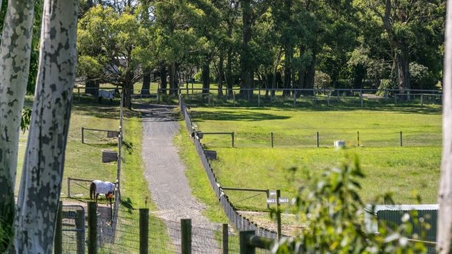 There are 35 paddocks on the property.