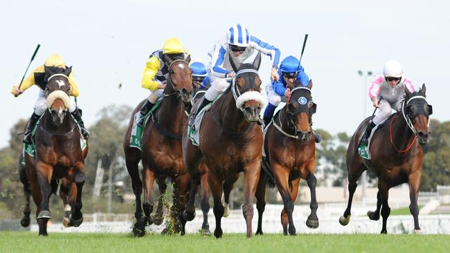 Mirage was on his best behaviour at Rosehill last start. Picture: Simon Bullard