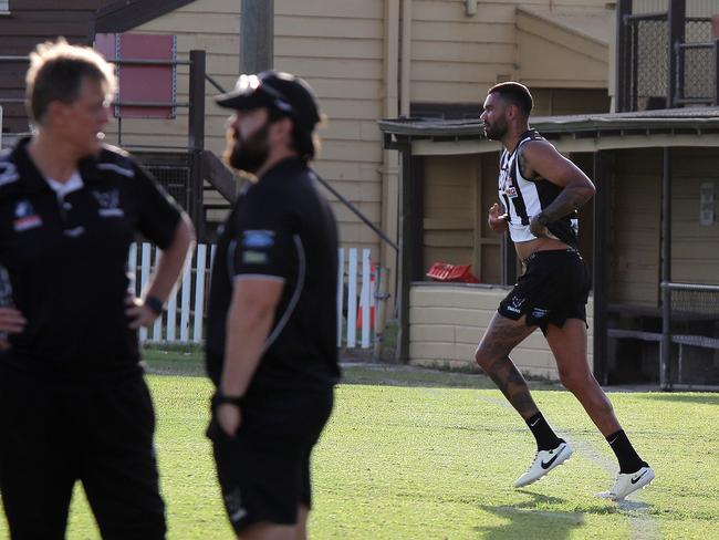 Thomas was well received at training. Picture: Philip Gostelow