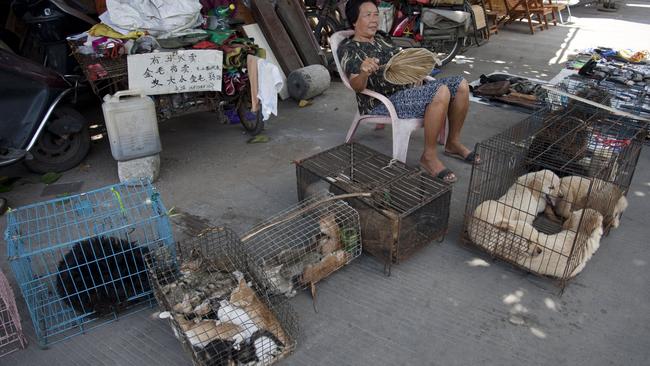 A woman sells dogs and cats by a street in Yulin, ahead of Yulin’s Dog Meat Festival. Picture: AFP