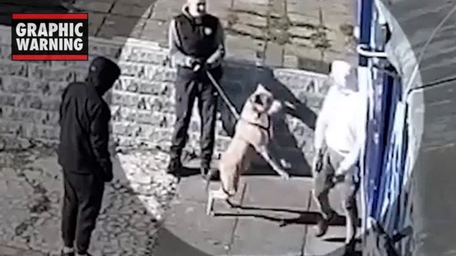 Dog attacks shoppers before mauling boy to death