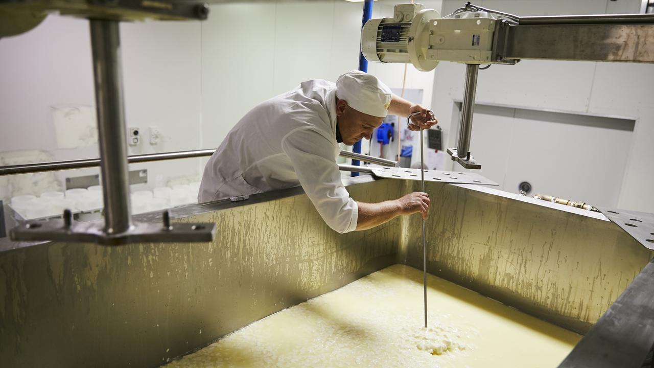 The cheese making process. Picture: Alexander McIntyre