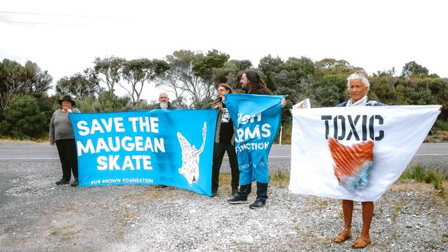 Protesters greeting Anthony Albanese in Strahan, Tasmania, on his visit last weekend. Picture: Bob Brown Foundation