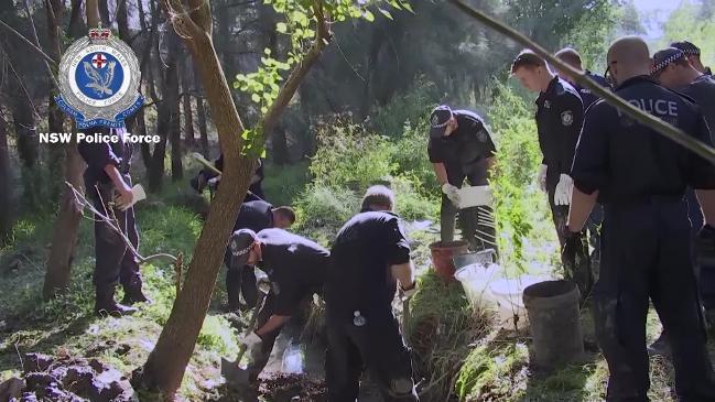 Scene at the discovery of Cheryl Ardler's body