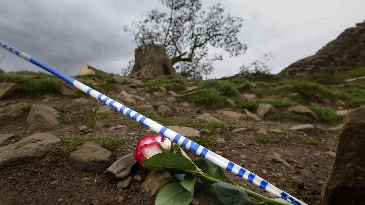 The tree was one of the UK's most photographed and appeared in the 1991 Kevin Costner film "Robin Hood: Prince Of Thieves." Picture: Jeff J Mitchell/Getty.