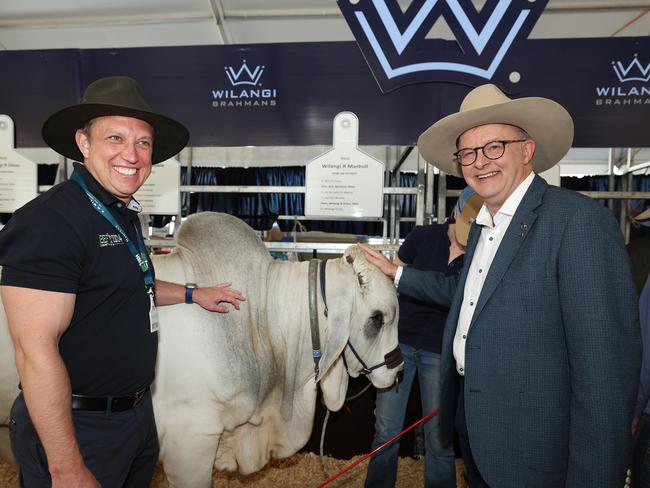 Prime Minister Anthony Albanese (right) with Premier Steven Miles at Beef Week in Rockhampton. Picture: Annette Dew