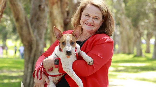 Local Government Minister Wendy Tuckerman has a cuddle with Jewel. Picture: Tim Hunter