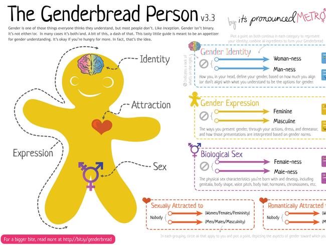 A flyer explaining a ‘Genderbread person’