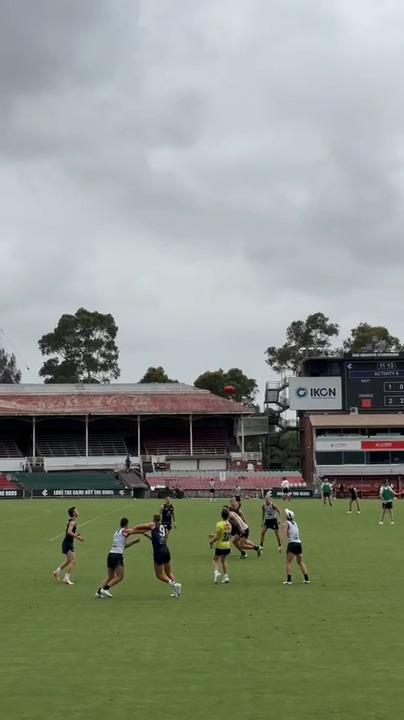 Blues return to IKON Park for Open Training