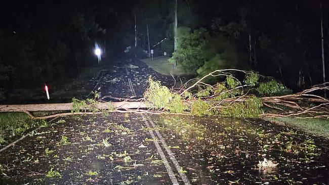 A tree down on West Mt Cotton Road in Redlands during ex-Tropical Cyclone Alfred. Photo: Supplied.