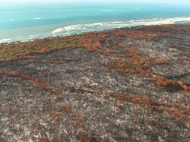 The burnt aftermath of the bush fire on world heritage-listed Fraser Island, north of the current fire front, which is in a no fly-zone. Pic Lyndon Mechielsen