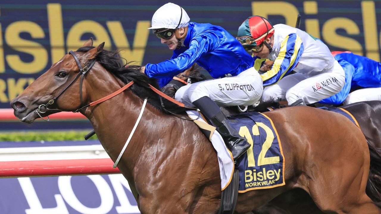 Godolphin have two strong chances in the Silver Eagle with Vilana (pictured) and Brigantine. Picture: Getty Images