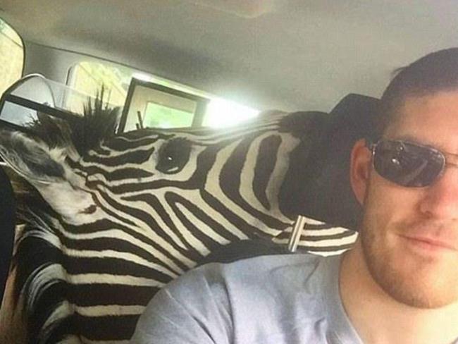 The 24-year-old posted a selfie with a Zebra head.