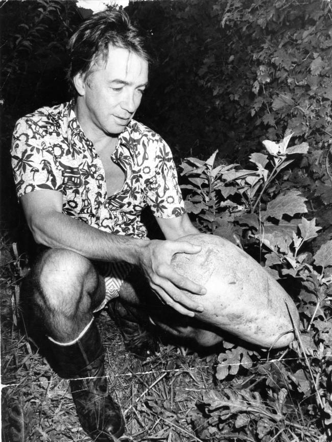 Former Premier Don Dunstan in his Norwood backyard veggie patch in 1974.