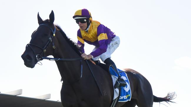 Farag (NZ) ridden by Damian Lane wins the Sportsbet Make It Look Easy Handicap at Sportsbet Sandown Hillside Racecourse on March 20, 2024 in Melbourne, Australia. (Photo by Pat Scala/Racing Photos via Getty Images)