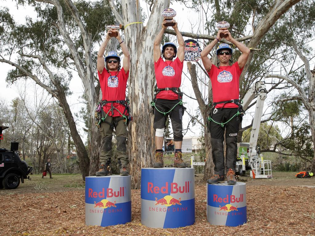 Ryan Roberts wins Red Bull Branched Out tree climbing competition ...